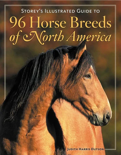 americanbookwarehouse9-49911